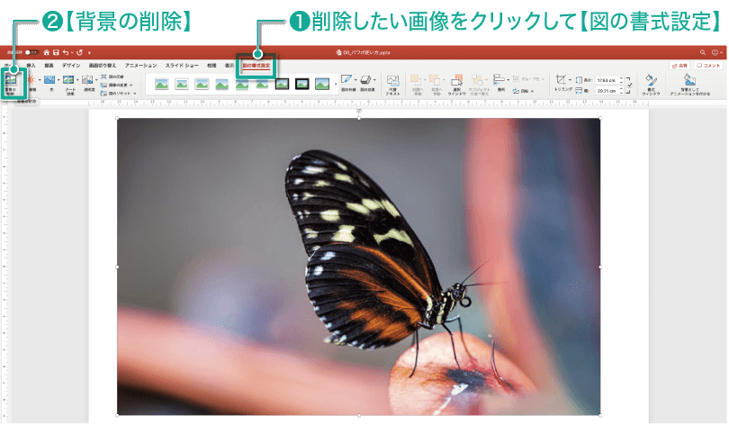 簡単パワーポイント】画像の背景を削除して合成画像を作る